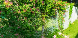 Ensuring Stability: How to Secure the Bottom of a Chain Link Fence?