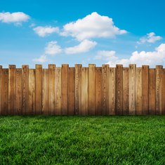 Choosing the Fence Height for Your Property: What You Need to Know?